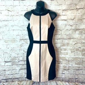 Vakko Sport Faux Leather Panel Dress NWT